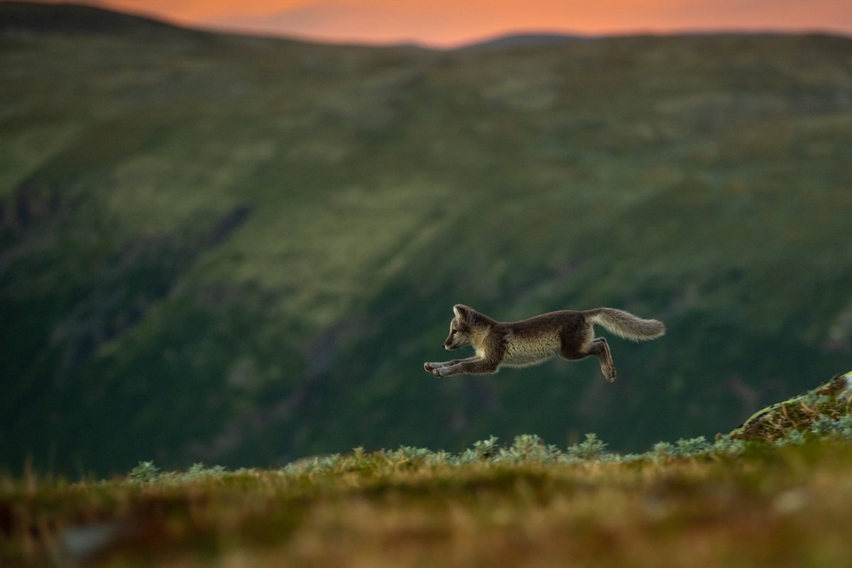 Nature TTL tweet media