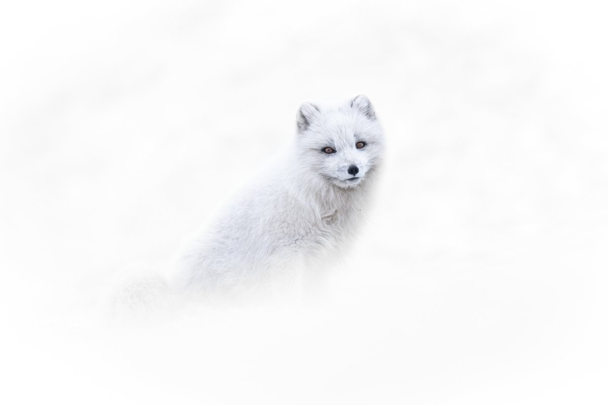 Nature TTL tweet media