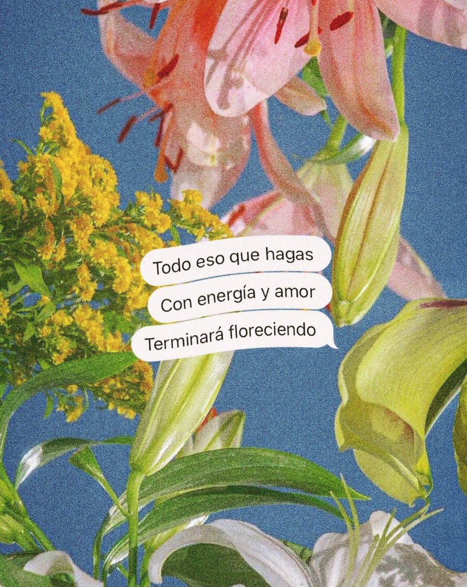 ramé (@escritosrame) on Twitter photo 