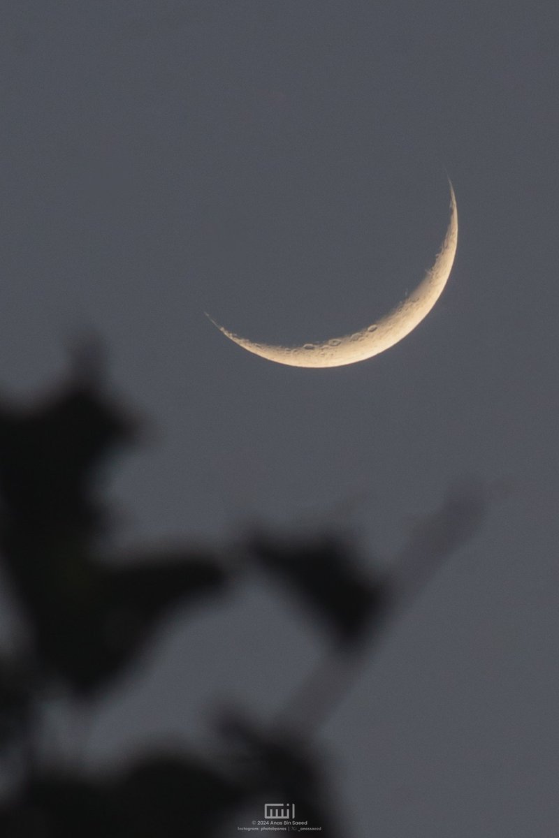 _anassaeed's tweet photo. Moon in June ... https://t.co/r2KoB33pcm