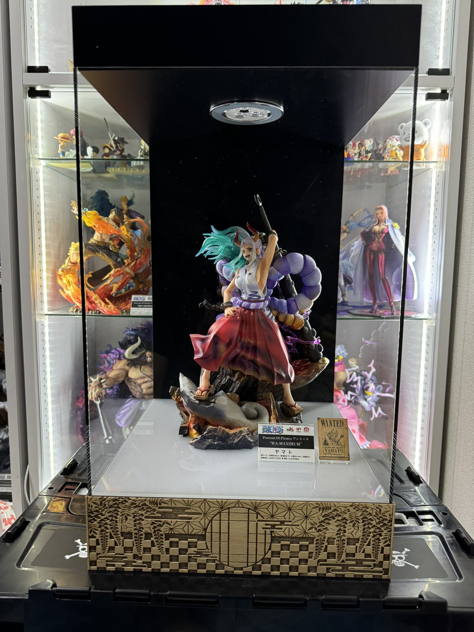 popヤマト専用 展示ケース