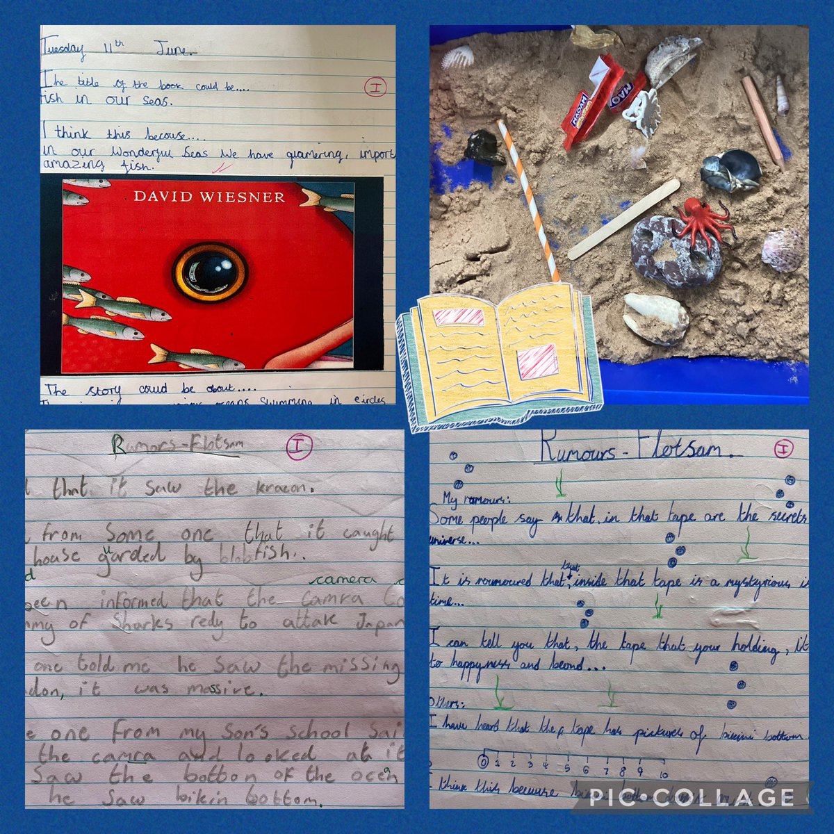 Abermule Primary tweet media