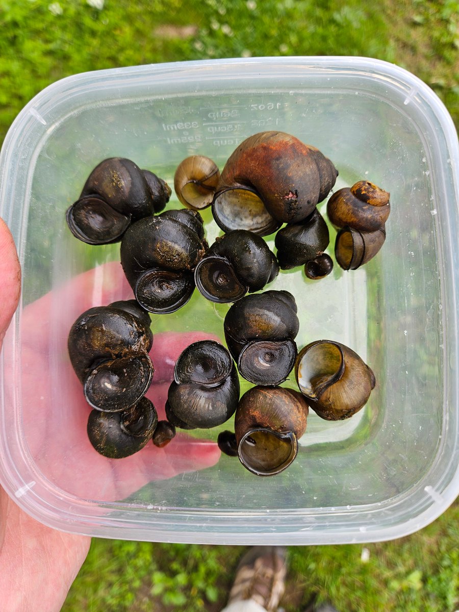 Tim Rawlings tweet media