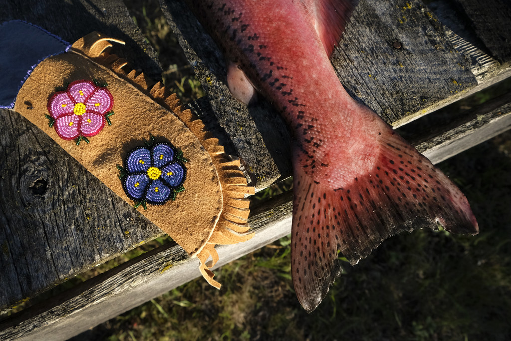 land_guardians's tweet image. 🪶As #IndigenousHistoryMonth comes to a close, we’d like to take a moment to celebrate and support Guardian Programs, where Indigenous communities lead the way in preserving lands, waters, and cultural revitalization efforts.✊#LandNeedsGuardians

📸@BxBCreative