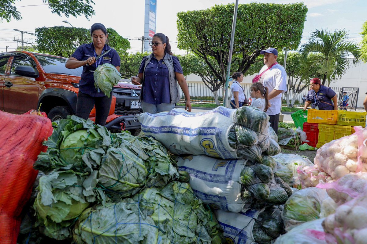 oscardomsv's tweet photo. Este beneficio es solo para el consumo familiar, no se venden cajas y ni bultos para revender.

Vengan al redondel de Unicentro Soyapango antes que todo se termine. 🏃🏽‍♀️‍➡️ 🙌🏻 https://t.co/2H4O03Np7G