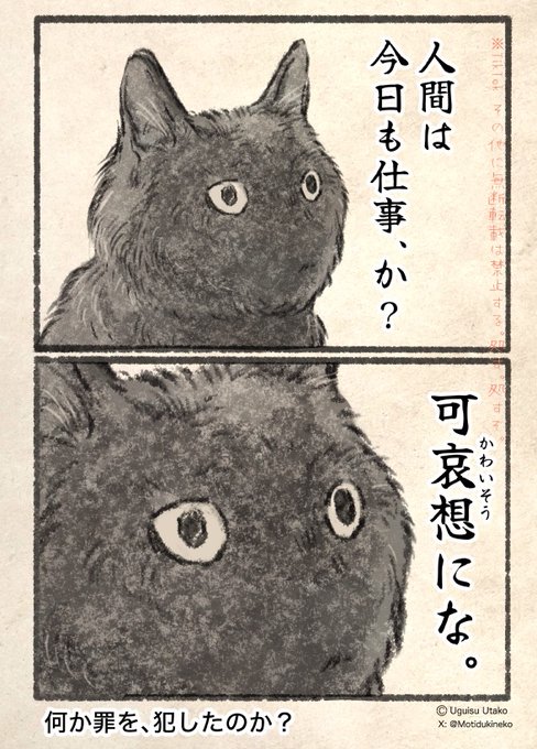 ネコの、誇り。