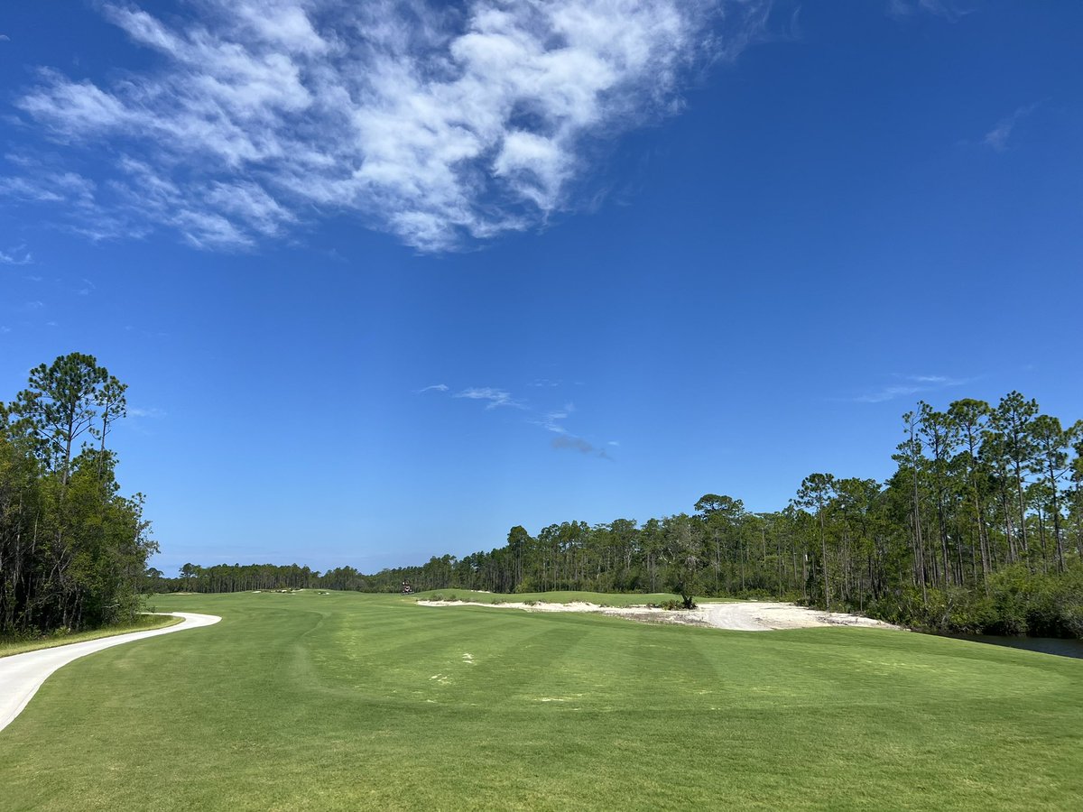 SosbWall's tweet photo. Been a long 6 months but looking more and more like a golf course each day. #WatersoundIII #DL3GolfDesign #MacCurrachGolf https://t.co/DTfx5FnNBd