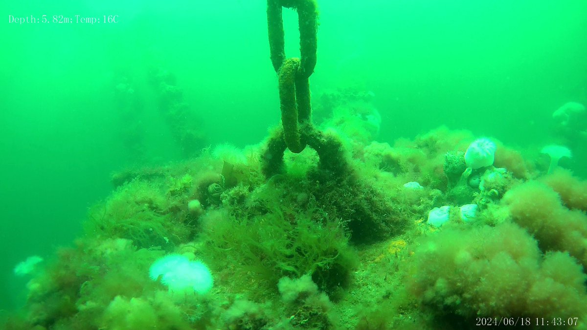 HydroneIRE's tweet photo. Inspecting aquaculture nets &amp; moorings👍 Underwater drones are quick and safe to deploy helping to locate spots for repairs, reducing a Divers time spent in the water If you need services or training with this equipment go to https://t.co/hqZSCi4xmA 
#drones #rov #diving https://t.co/DVxmfRSKf9