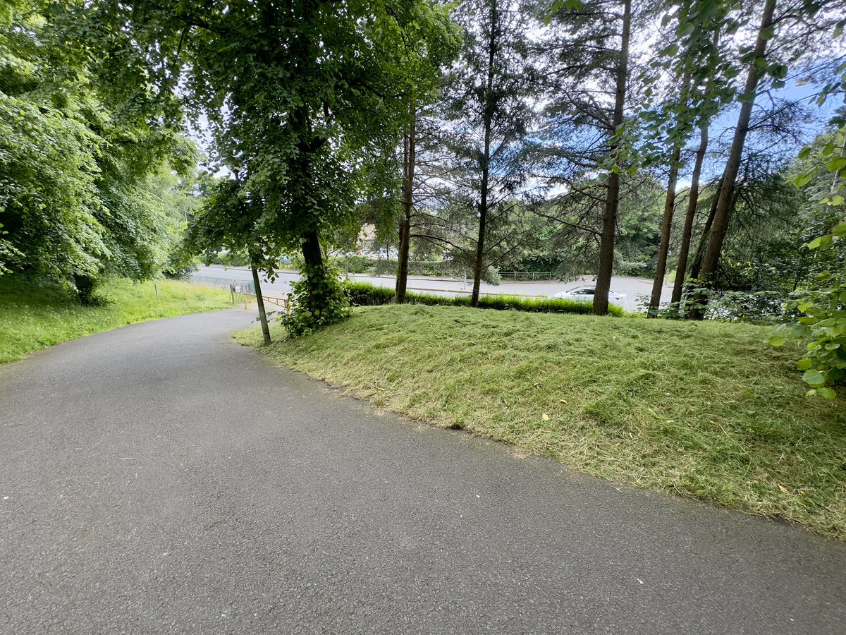 This week, we made a start on tidying the community garden, cut the long grass at the Maryhill Road entrance, and swept the paths.