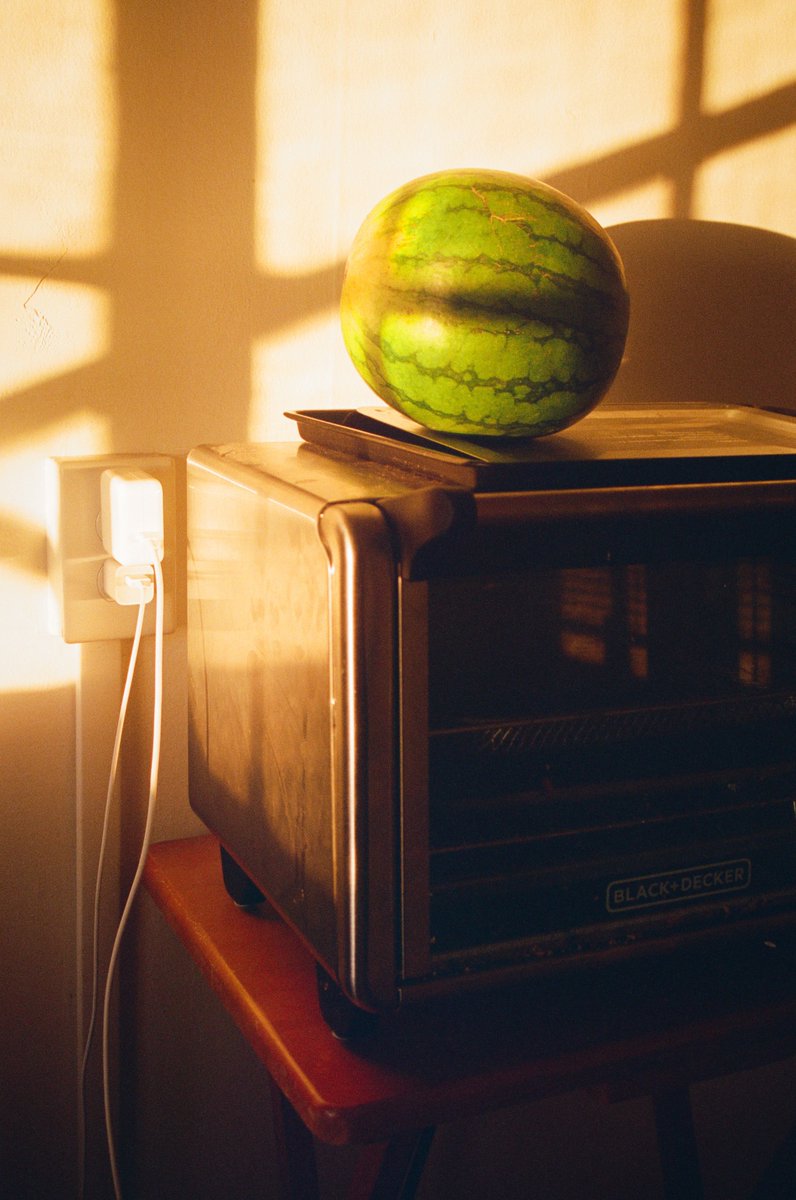 leefoxcliff's tweet photo. summer on film https://t.co/52nKIttcJ2