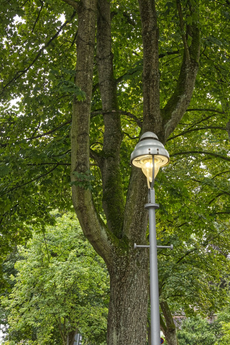 Karsten Gresch (@gresch) on Twitter photo Diese schöne Berliner Gaslaterne ist ein "Dauerbrenner", d.h. sie brennt am Tage. Am 21.05. nach etwa 2 Wo. 'ne Störungsmeldung an <a href="/NBB_DE/">NBB Netzgesellschaft Berlin-Brandenburg</a> geschickt. Geschehen seitdem: nichts. Soviel zu Public-Private-Partnerships und Sale-and-Lease-Back-Geschäften auf Kosten des Gemeinwohls. Diese schöne Berliner Gaslaterne ist ein "Dauerbrenner", d.h. sie brennt am Tage. Am 21.05. nach etwa 2 Wo. 'ne Störungsmeldung an <a href="/NBB_DE/">NBB Netzgesellschaft Berlin-Brandenburg</a> geschickt. Geschehen seitdem: nichts. Soviel zu Public-Private-Partnerships und Sale-and-Lease-Back-Geschäften auf Kosten des Gemeinwohls.