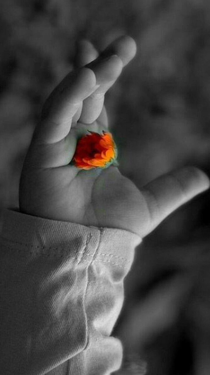 mrmr_320_'s tweet photo. "قد يَتركك اللّٰه بدون إجابة، لأنّه يَعلم مَدى حَلاوة الجَبر بعد اليَأس، فيَكتب لك أجر الصّبر، ثم يُذيقك حَلاوة الجَبر."🤍 https://t.co/2vklnwAL1O