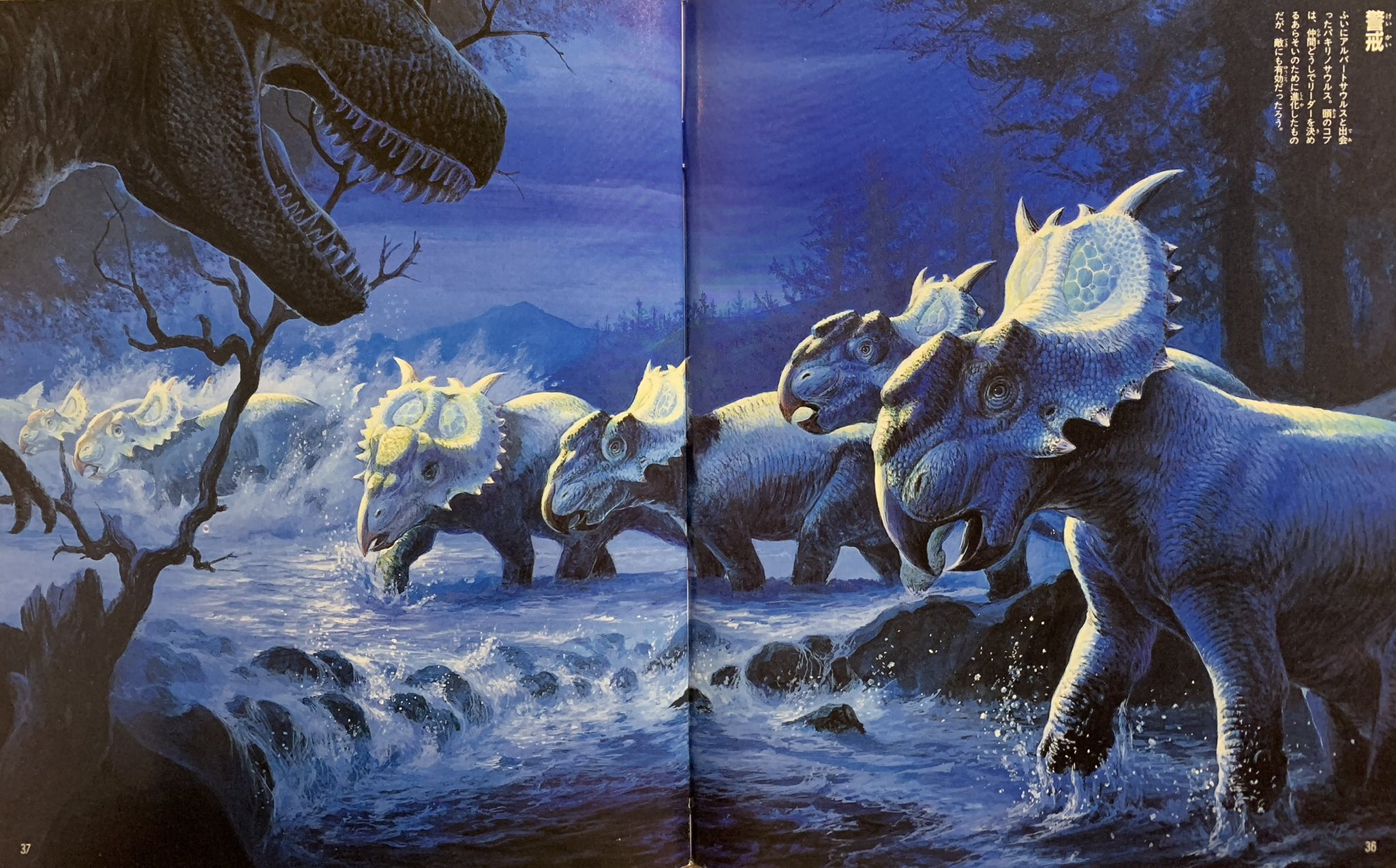 🦕Isaiah Cole Torre🦖 on X: 