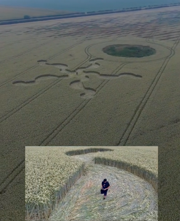 rainscrypt's tweet photo. The dynamic patterns of Waves expressed in a Crop Circle
https://t.co/XlFIxn40I9
https://t.co/lk7DpePR0k https://t.co/LTR674tUgx