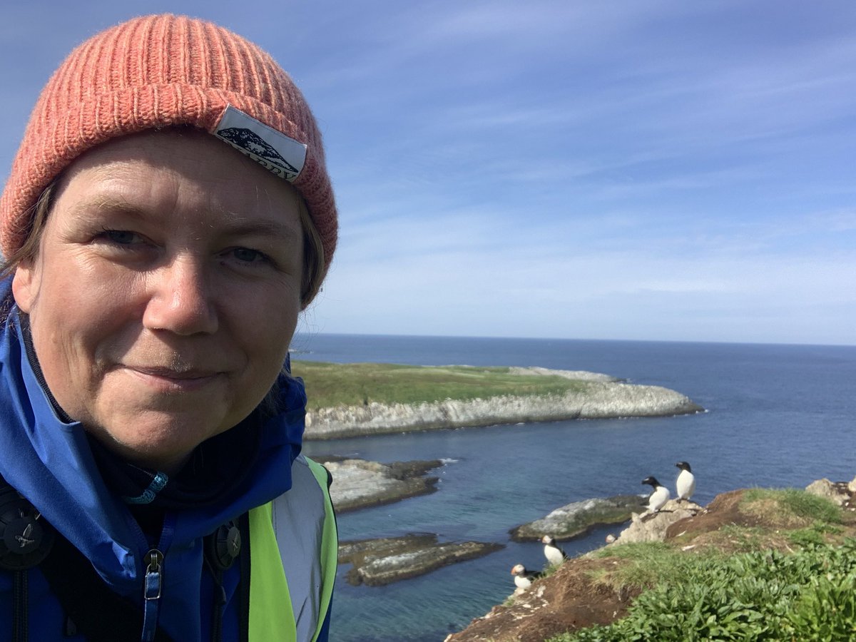 tonereiert's tweet photo. Fieldwork on Hornøya is continuing. Ringing and tagging of puffins and razorbills in all kinds of weather, is primary focus at this stage.

All birds handled carefully and with special permits.

#seabirds #SuperSeabirdSunday #seatrackscience @SEAPOP4 @NINAnature https://t.co/X8LUo9w4ea