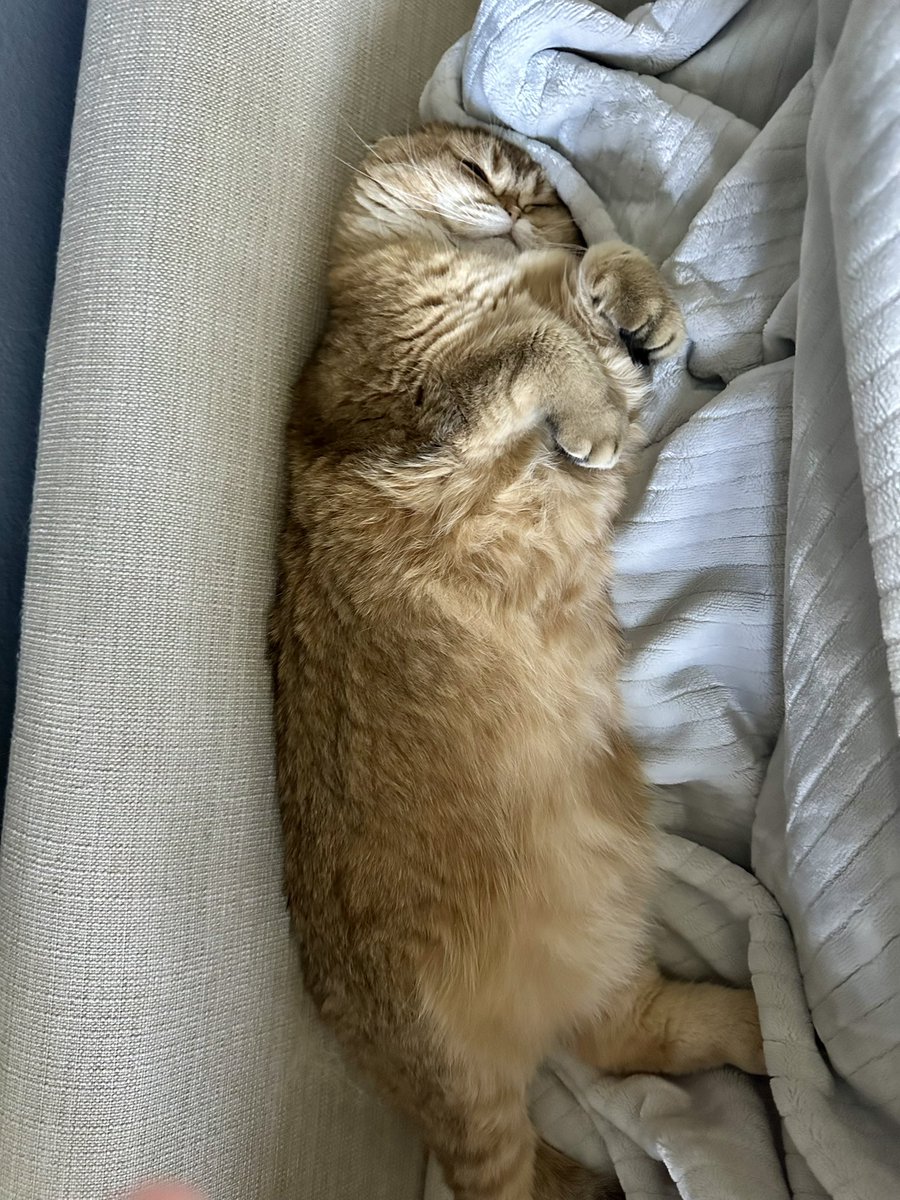 Ruth snooze