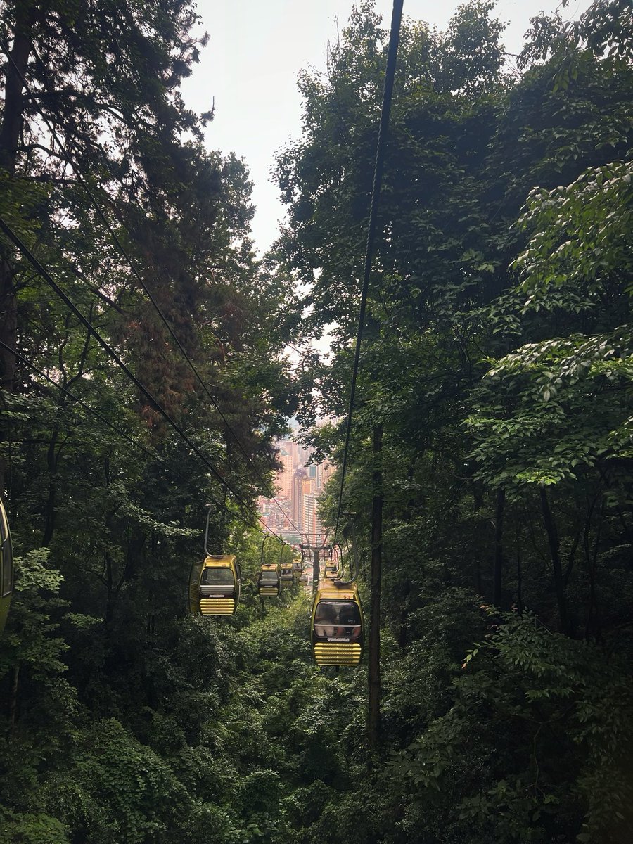 WuViiiii's tweet photo. 🚡⛰️ https://t.co/VIbKNMUsve