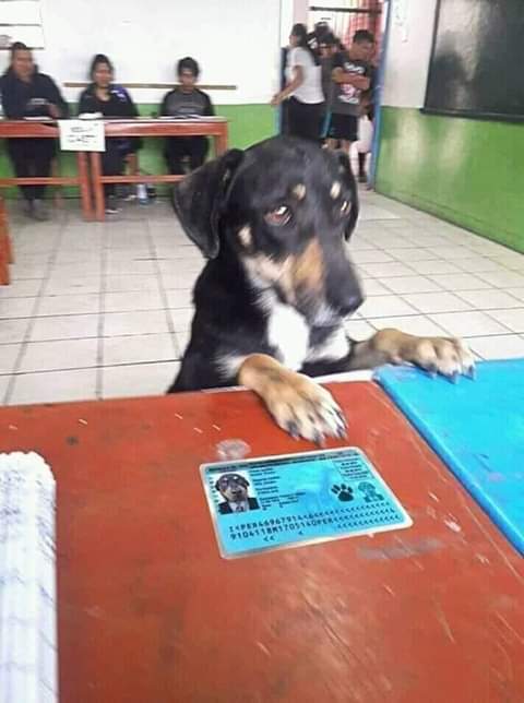 cómo que no estoy? fíjate bien, soy Fredy Martinez