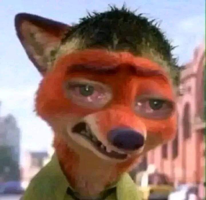 georgediano's tweet image. Woooi, Ruto Must Go.🥹