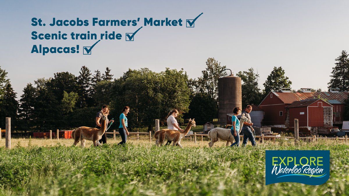 Escape to the serene #countryside with the #UdderlyRidiculous Experience! #Glamping, #alpaca #picnic, <a href="/stjacobsmarket/">St. Jacobs Market</a>, and a #scenic #train ride <a href="/WCRailway/">Waterloo Central Railway</a>.

🔗: bit.ly/3R1xxdr  

🌄🍁

#HiddenGems #ExploreOntario