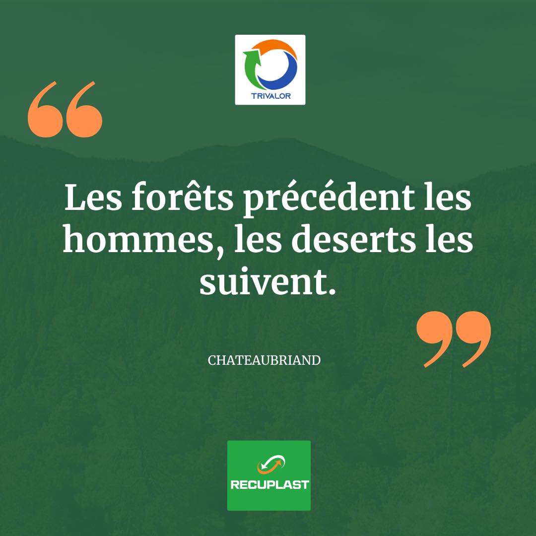 Plantons des arbres et sauvons la planète.

#sauvonslaplanete #recuplast #proplast #triselectif #EconomieCirculaire #jeunesse #Innovation #environnement #Recyclage #EngagementEnvironnemental #engagement