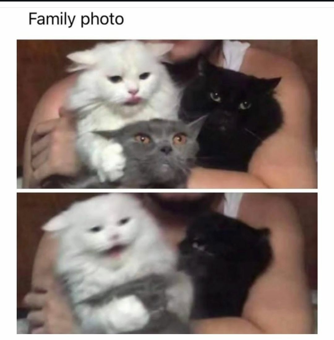 GRVW_HLbAAAxB3R