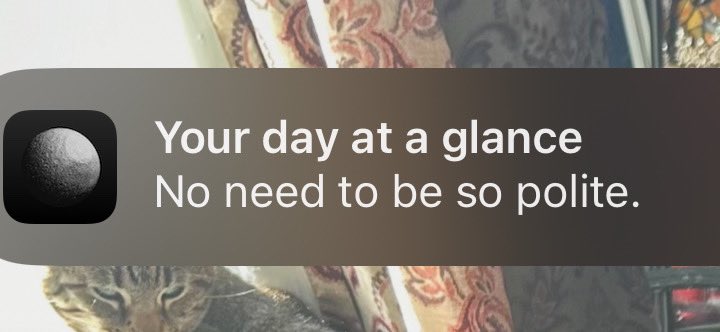 Don’t tempt me with a good time, co-star. 😂