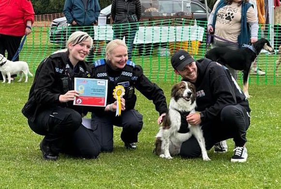 What an amazing day! 

HUGE thank you to everyone who came along to our Dog Show today and showed your support for Stray Aid and the hundreds of dogs we help each and every year. 

We wouldn’t be able to help so many dogs and cats in need without the support of people like YOU!