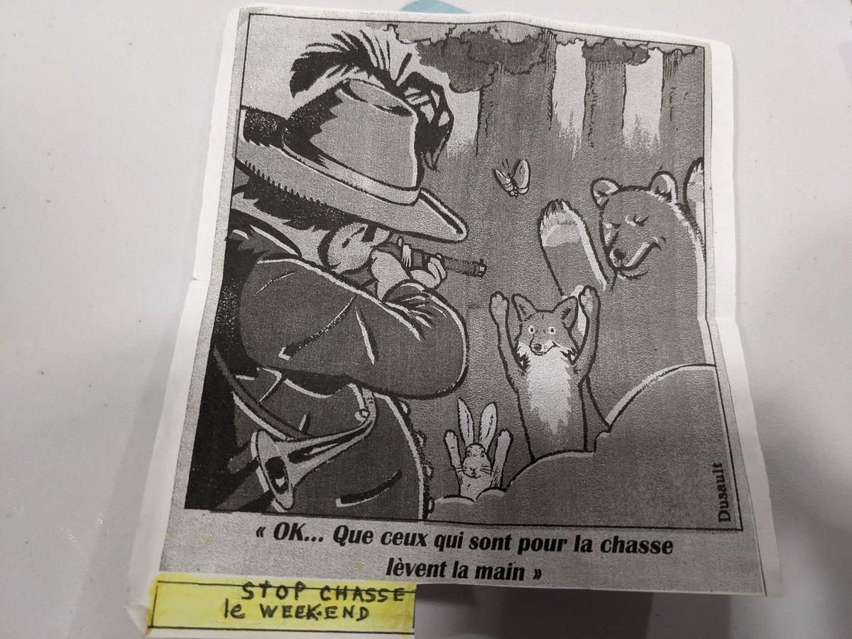 Dragan Pérovic tweet media