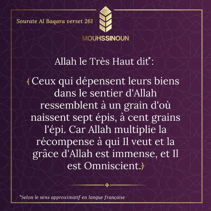 misanthrope 🇩🇿 tweet media