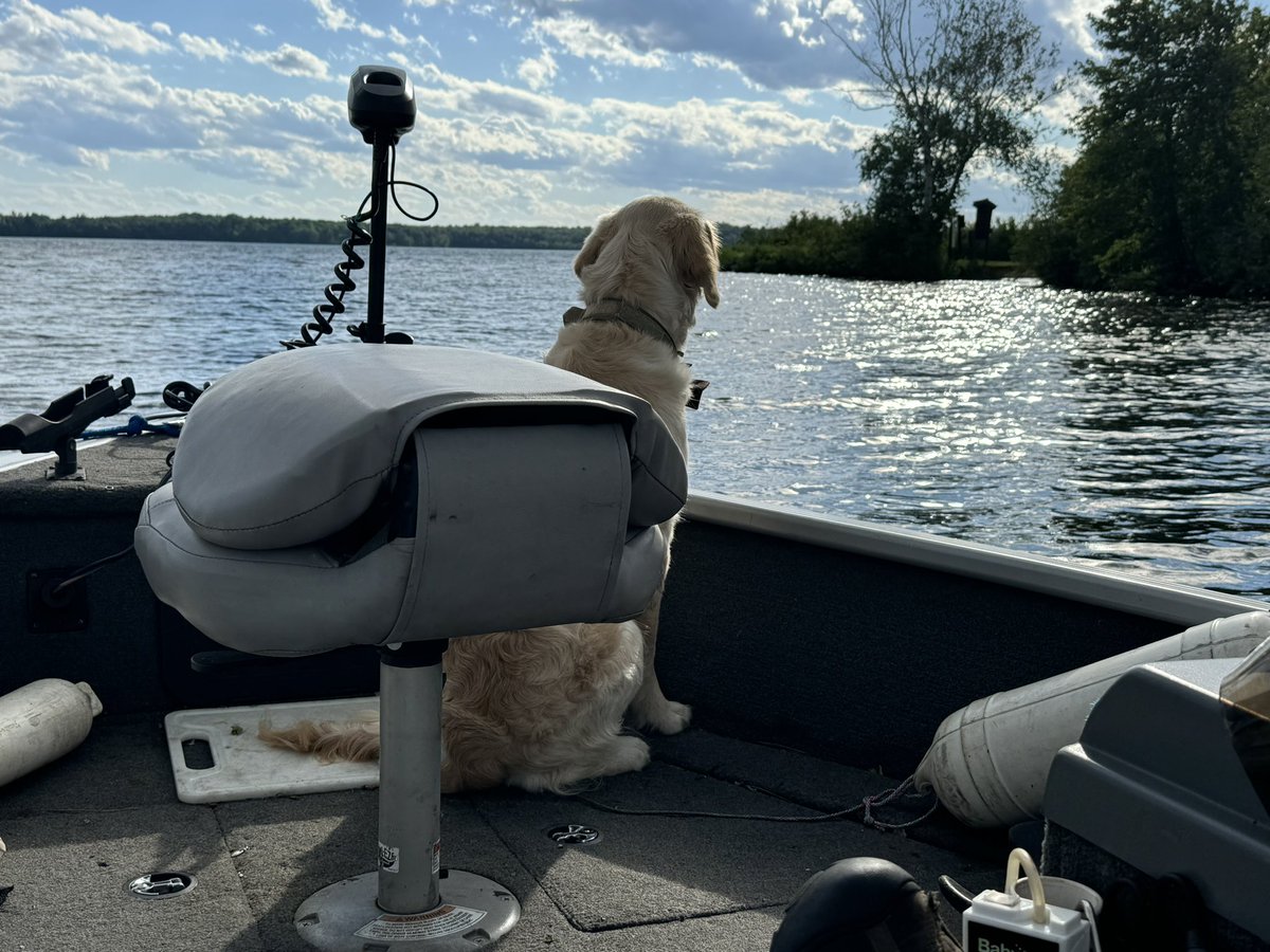 Willyboy tweet media