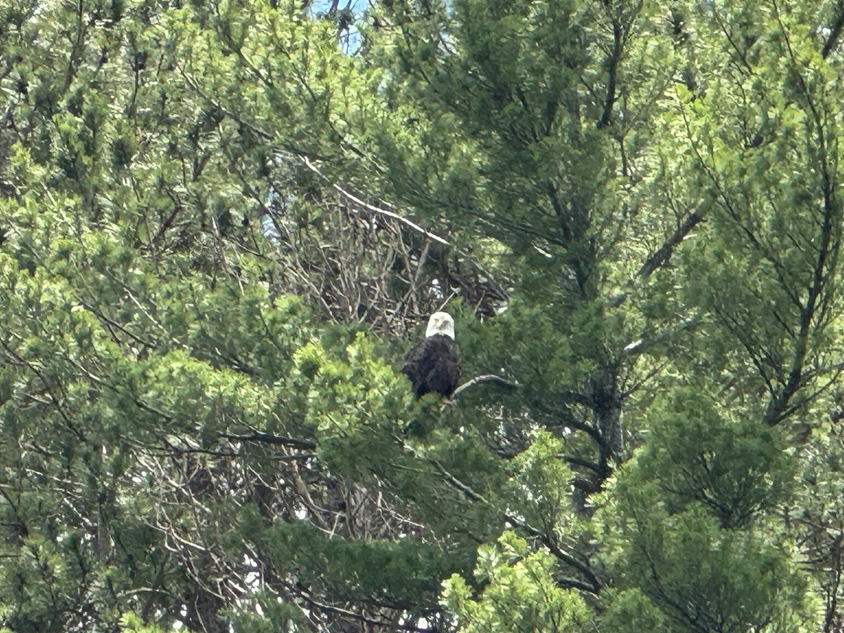 Willyboy tweet media