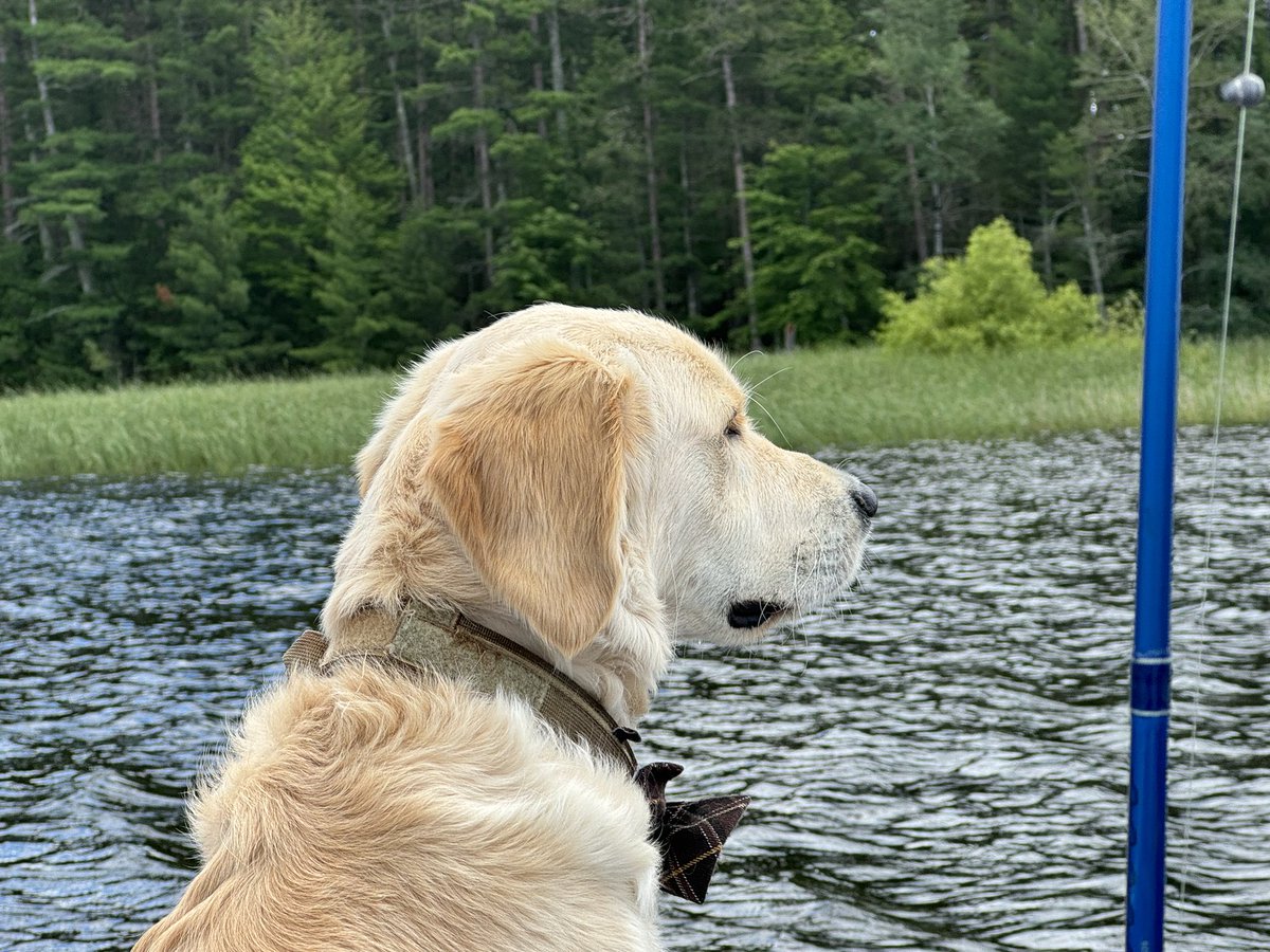 Willyboy tweet media