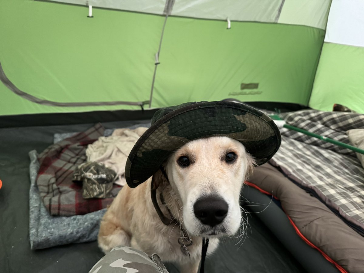 Willyboy tweet media