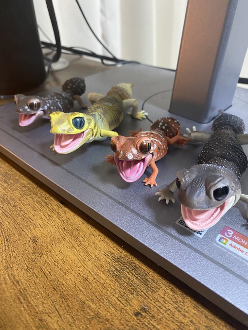 このトカゲのガチャが好きすぎて6月だけで1万円以上使ったけどかわいすぎてマジで癒されるなこれ。。。  6月は不運なことが立て続けに起こって元気はほぼゼロだったけど7月からの下半期は頑張りますかね！ まずは仕事を探しますか🍺🍺