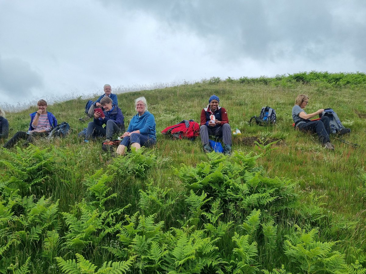 EildonRamblers's tweet photo. There were 12 ramblers on today's Greenhill Peelinick Buchtrig circular led by Murray. After a steep climb to the ruins at Peelinick, we needed a coffee break. Lunch was at the top of Moat Knowe hillfort. There were some amazing views and interesting climbs. We even saw 2 owls https://t.co/VffwZOCqwm