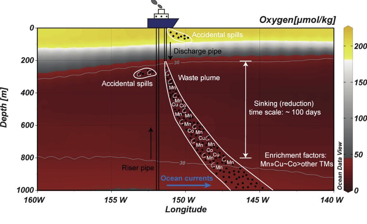 Proud of our new paper quantifying metal release when #DeepSeaMining effluent is discharged into anoxic waters. Potentially toxic copper is solubilized, among others, showing importance of avoiding anoxic waters for mining discharge. 
tinyurl.com/23xpx4h3