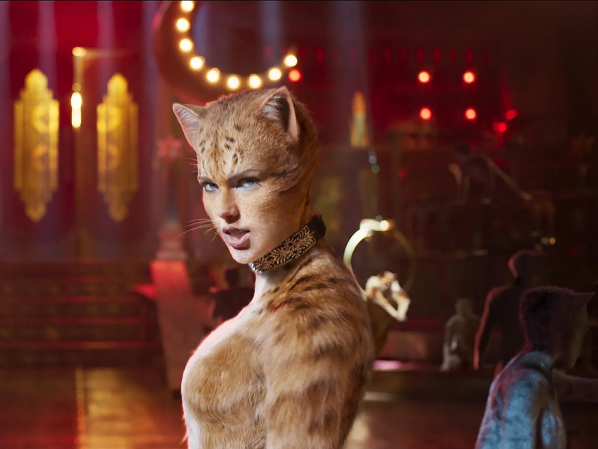 JohnMartinPugh's tweet photo. Cats supporting cats https://t.co/neomCemkhX