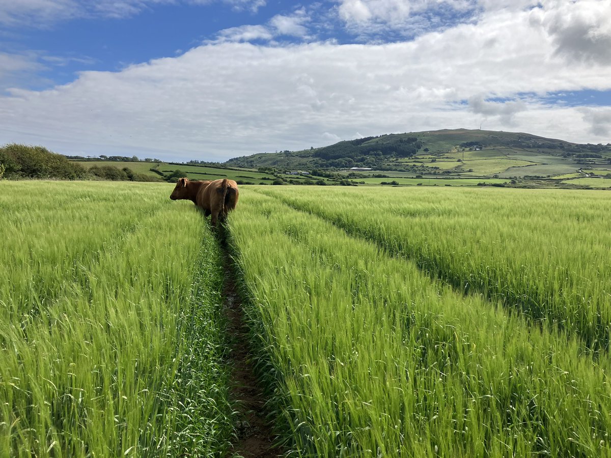 FFS 🤦🏻‍♂️