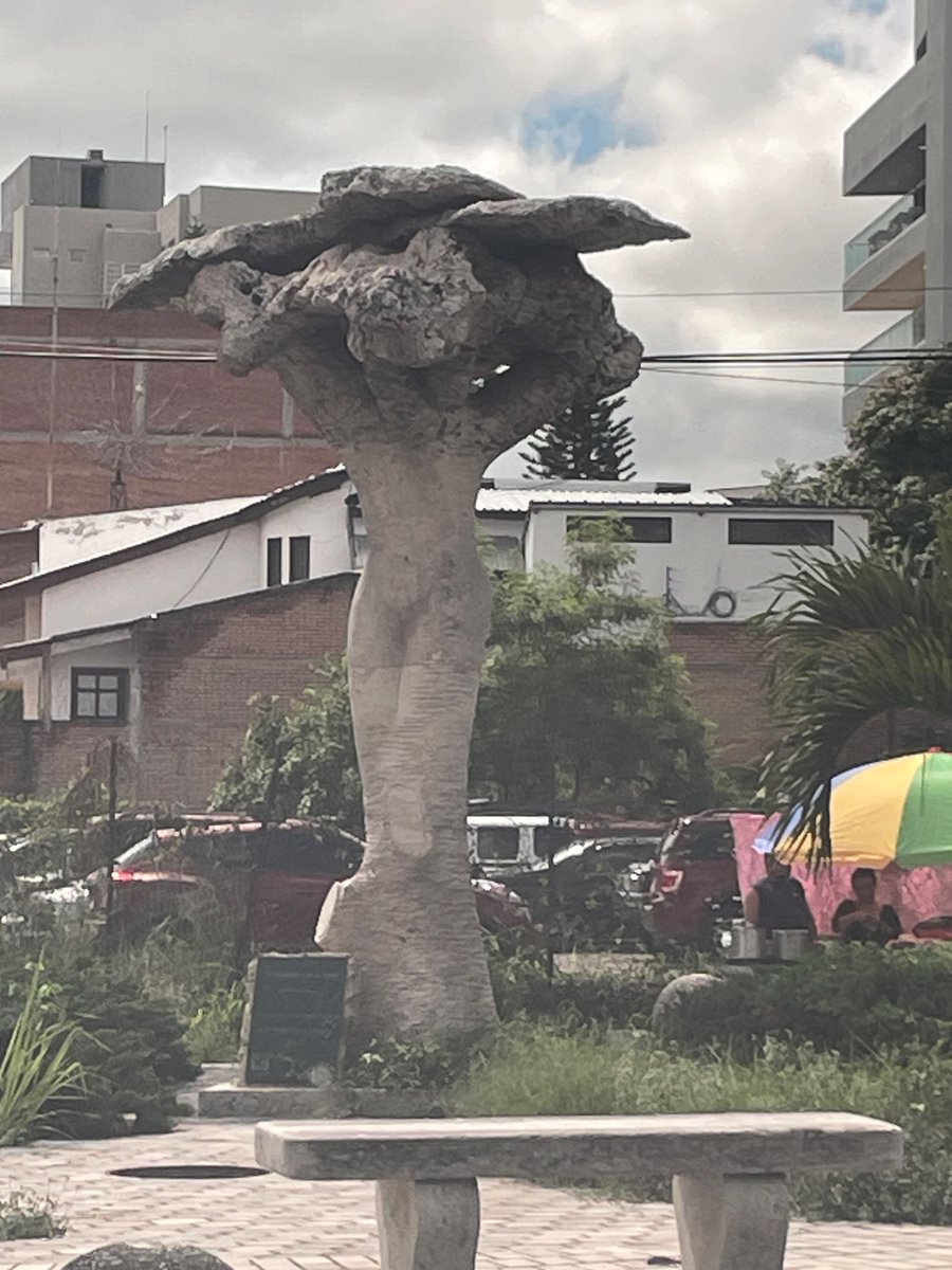 AttiyaWaris's tweet photo. Humbled to have been in #Honduras to meet some of the stakeholders from private sector to public sector to civil society to researchers and students and most importantly #catrachos had wonderful conversations everywhere #gracias et #ohala https://t.co/h11iHSMvSX