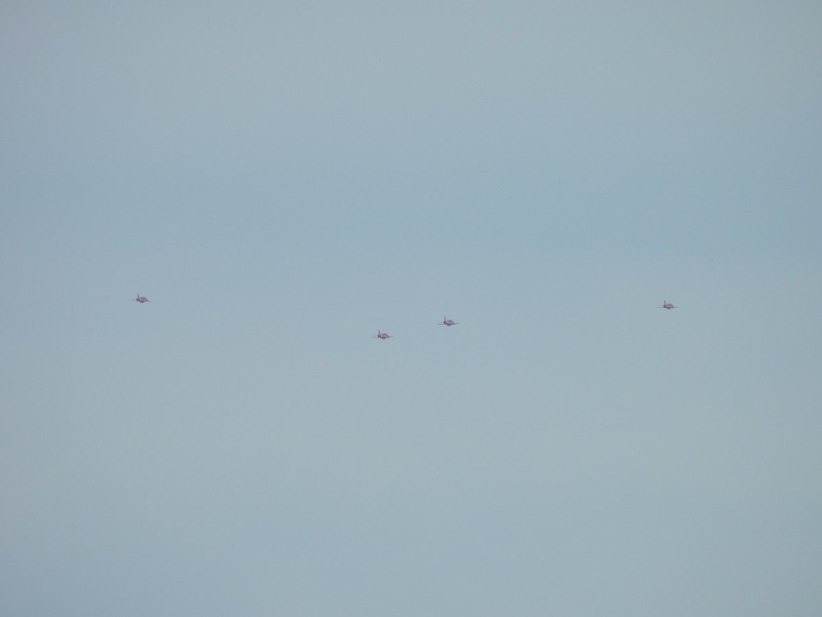 LifeOnSheppey tweet media