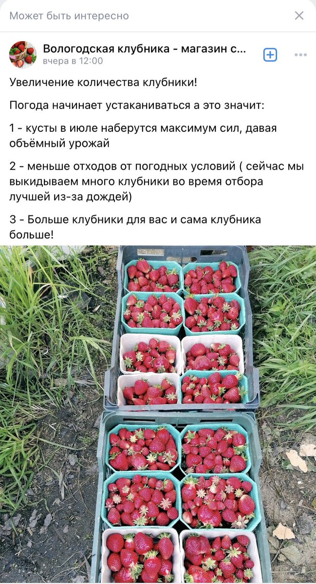 Матавкин tweet media