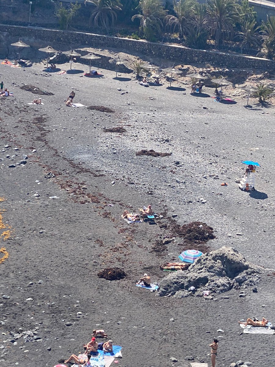 Francescocalv_'s tweet photo. Esta es la imagen de una playa de @adeje, Callao Salvaje precisamente, en pleno comienzo de verano, una buena limpieza no vendría mal... https://t.co/Zfj4W76Llc