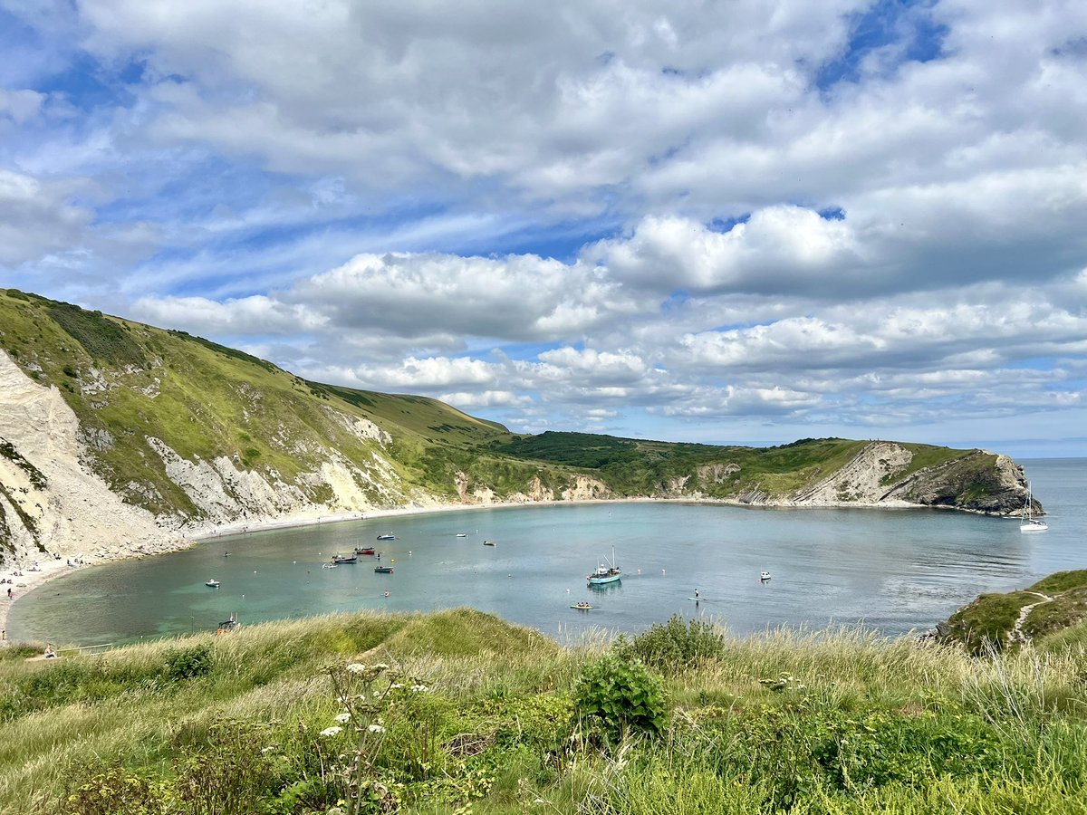 DanielCMartin1's tweet photo. Ended up going for Lulworth Skipper to finish off the south coast road trip! Glad @ColBowler suggested @DurlstonCP as got several along the coastal path eventually when the sun appeared. Only a few at Lulworth Cove & Dumble Door but a fab area #jurassiccoast #4toget #butterflies https://t.co/yL3y8956Kt
