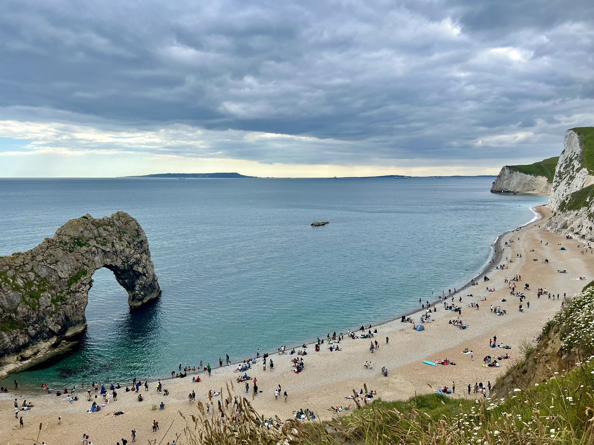DanielCMartin1's tweet photo. Ended up going for Lulworth Skipper to finish off the south coast road trip! Glad @ColBowler suggested @DurlstonCP as got several along the coastal path eventually when the sun appeared. Only a few at Lulworth Cove & Dumble Door but a fab area #jurassiccoast #4toget #butterflies https://t.co/yL3y8956Kt