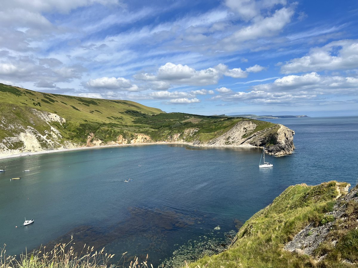 DanielCMartin1's tweet photo. Ended up going for Lulworth Skipper to finish off the south coast road trip! Glad @ColBowler suggested @DurlstonCP as got several along the coastal path eventually when the sun appeared. Only a few at Lulworth Cove & Dumble Door but a fab area #jurassiccoast #4toget #butterflies https://t.co/yL3y8956Kt