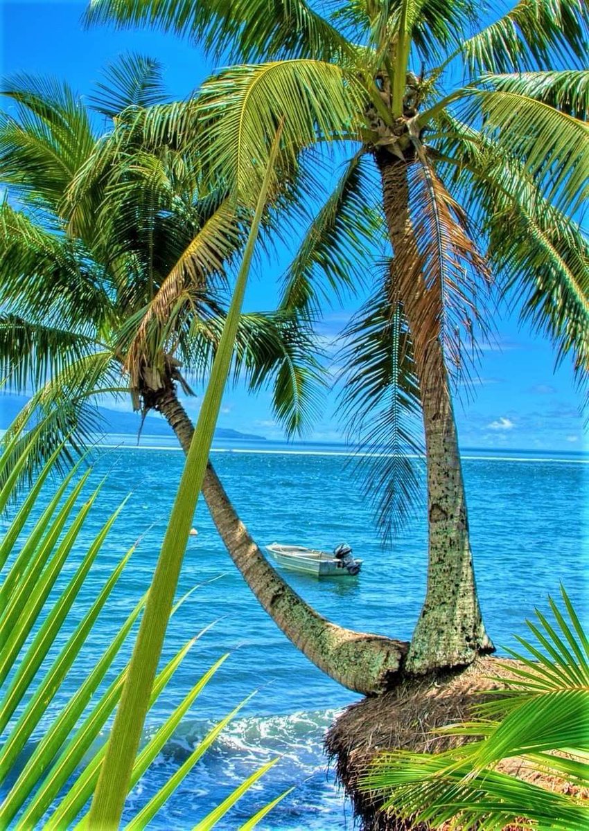 What you can see is jn your thoughts