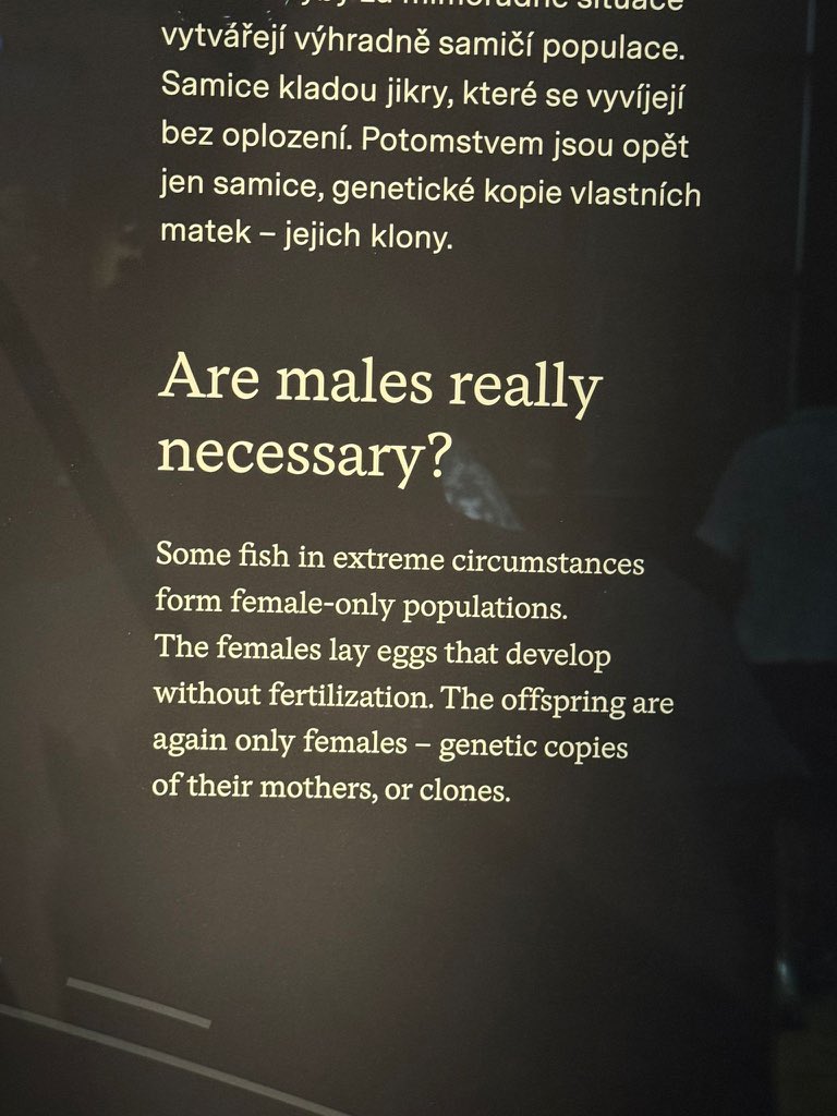 cali_c3's tweet photo. out here asking the real stuff https://t.co/ygKZMtojNZ