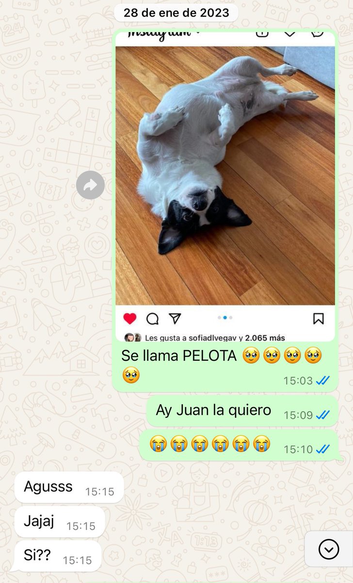 Agus 🇦🇷 tweet media