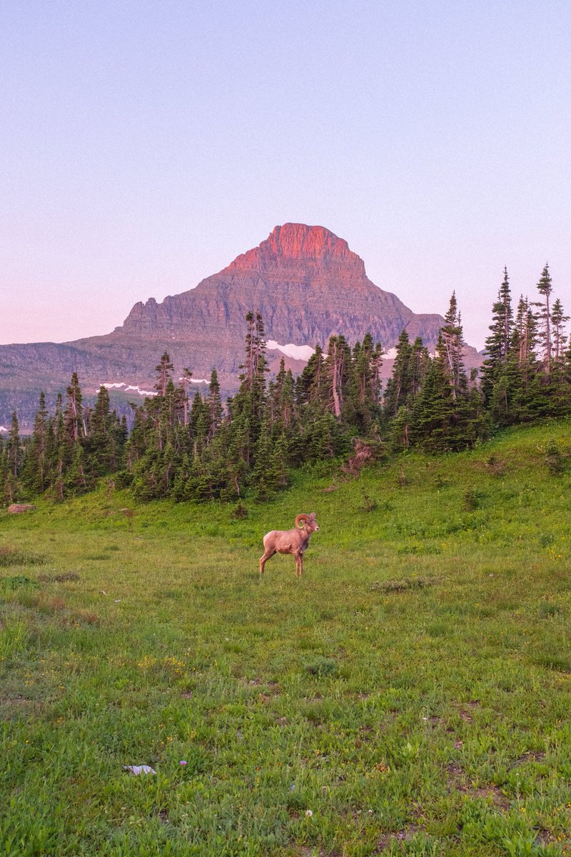 one of my favorite photos from last year🌄

Available over on <a href="/foundation/">Foundation 🌐</a> as a buy now for 0.1eth🏔️